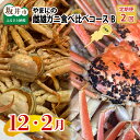 【ふるさと納税】【先行予約】【年2回お届け】 やまにの雌雄ガニ食べ比べ コースB（12月・2月発送）【2024年12月中旬以降順次発送予定】