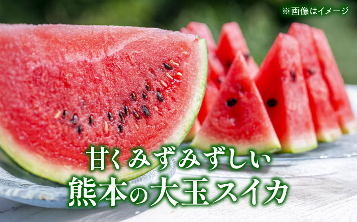 【先行予約】 小玉スイカ&肥後グリーンメロンの食べ比べ 各2玉（計4玉 約7kg） すいか 小玉 メロン グリーンメロン 熊本 フルーツ 野菜 果物 【日本フルーツ株式会社】 [ZFJ041]