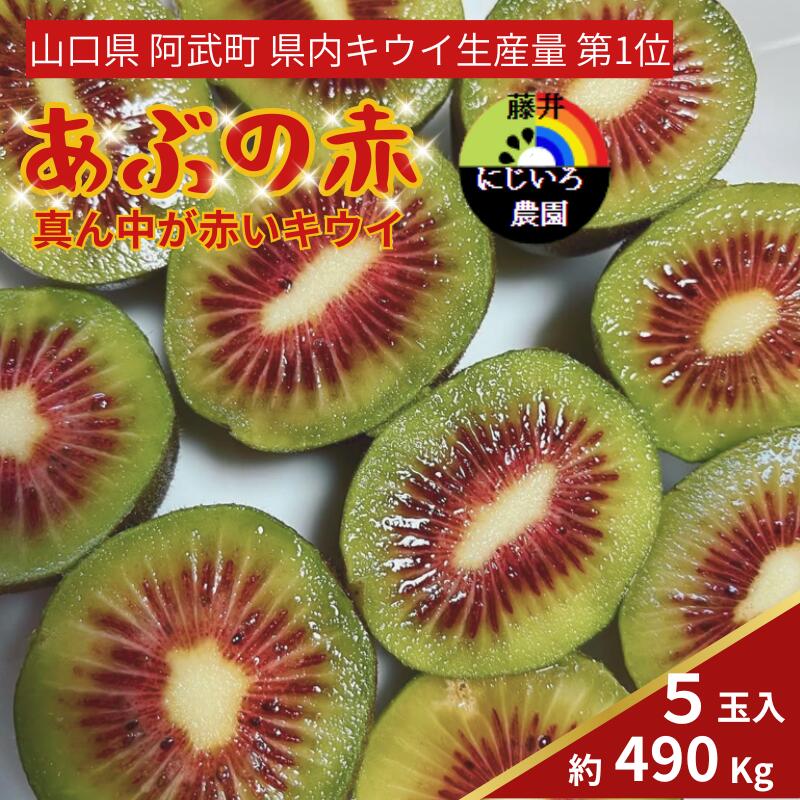 【ふるさと納税】あぶの赤 真ん中が赤いキウイ 約490g 希少品種 赤い果肉の極甘キウイ フルーツ 果物 旬 《お届け：2025年10月20日頃～2025年12月20日頃出荷》 山口県 阿武町産 デザート