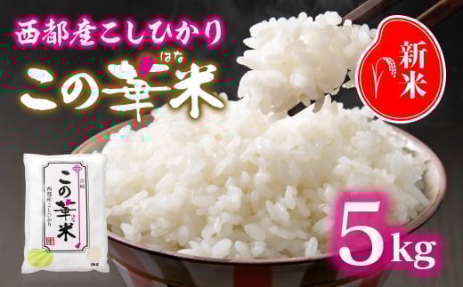 令和7年産 新米こしひかり 『この華米』5kg 9月発送  ＜1.5-41＞精米 白米 コシヒカリ
