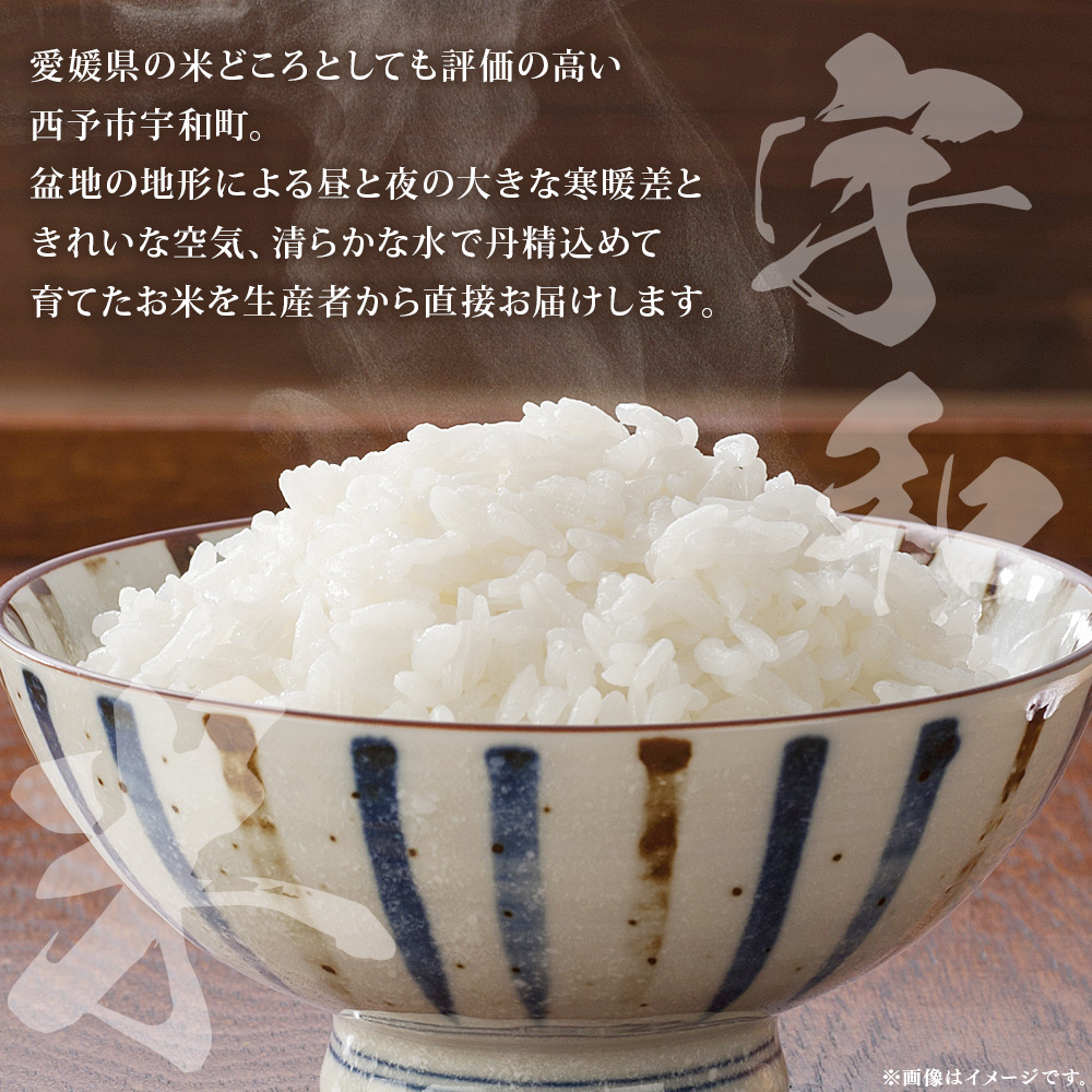 ＜令和7年産 松本農園直送 宇和米（コシヒカリ）約3kg＞ こしひかり 米 コメ こめ 白米 精米 うわまい ご飯 新鮮 3キロ 選べる お弁当 朝 昼 夜 国産 特産品 愛媛県 西予市 約３kg（寄