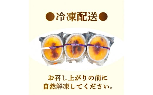 濃厚焦がしクリームブリュレ 9個 冷凍 アイス プリン カタラーナ スイーツ デザート 卵 お菓子 洋菓子  焼き菓子 氷菓子 ギフト おやつ キャラメル ミルク個 牛乳 生クリーム 包装 贈答 飯テ