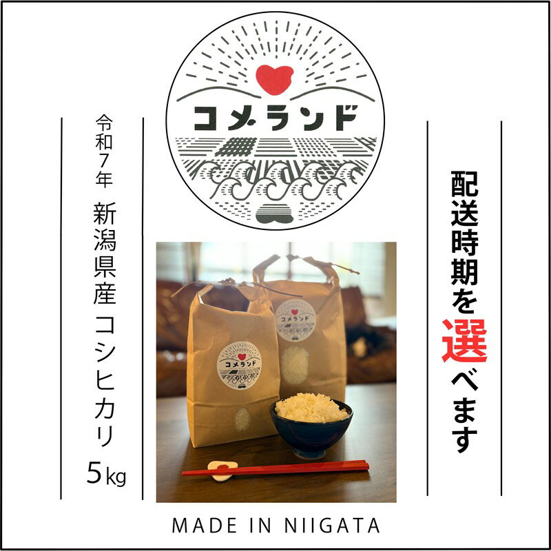 【ふるさと納税】高評価★4.90 令和7年産 上越市産 コシヒカリ 5kg 5キロ 配送時期を選べる 精米 新潟県 上越市 板倉区 コメランド こしひかり 限定 おすすめ 米 コメ