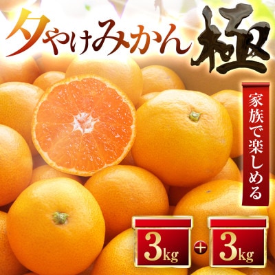 【甘みが濃縮されたみかん】愛媛で育った夕やけみかん【極】3kg×2箱(小玉)【D49−11】【1243467】