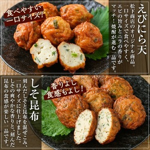 【数量限定】海の幸をギュッと！具材に！ズワイガニ天入り 5種の手作りさつま揚げ＜ ズワイガニ のほぐし身と オマール 海老 の えびみそ を混ぜたズワイガニ天入り＞冷蔵 小分け 鹿児島 串木野 名物 