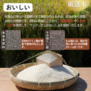 上越市産 新潟 特別米コシヒカリ　5kg×2 3か月定期便  上越市 精米 米 コメ こしひかり ブランド米