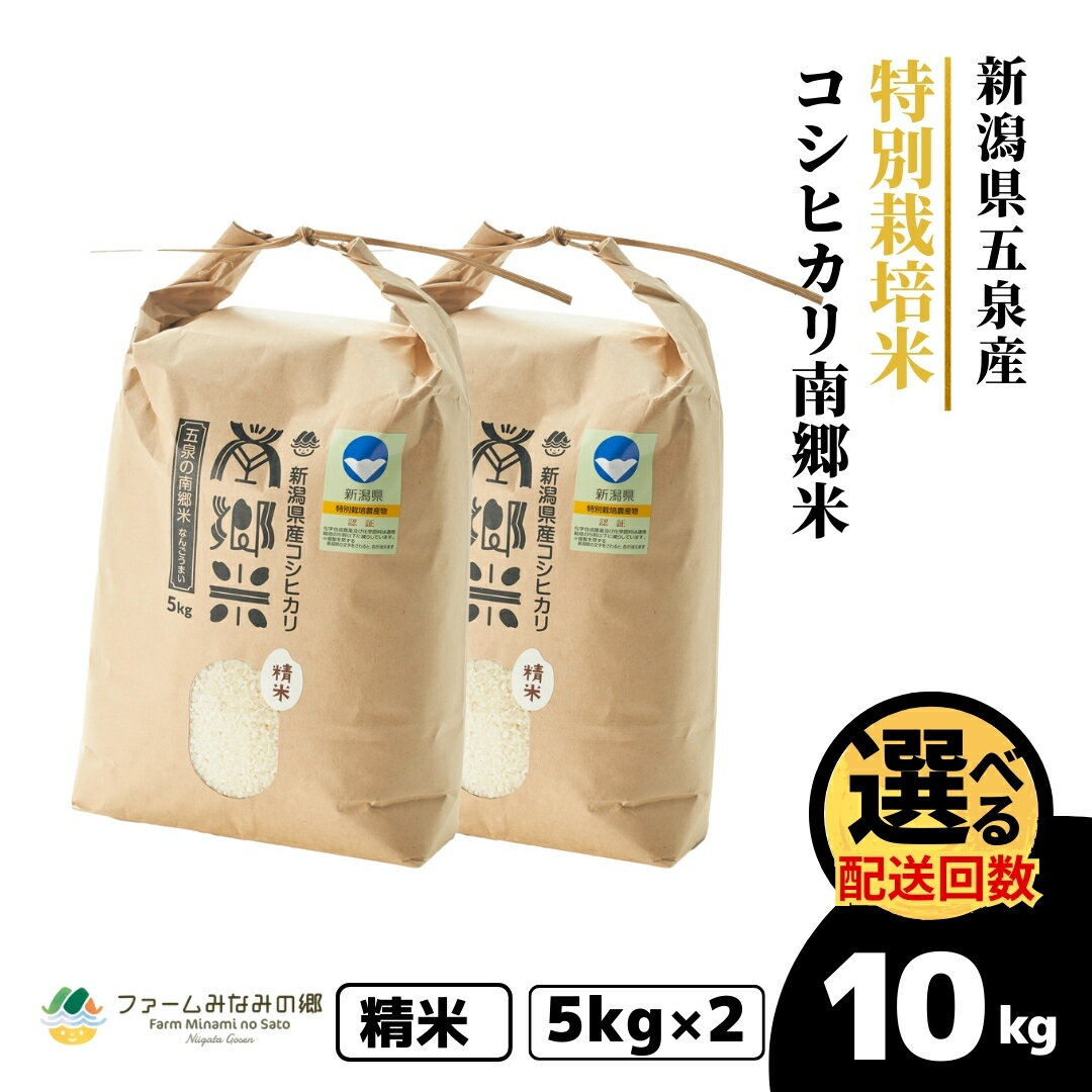 【ふるさと納税】 令和7年産 米 10kg ( 5kg × 2袋 ) 五泉産 コシヒカリ 南郷米 特別栽培米 選べる回数 | 白米 精米 こしひかり お米 おこめ コメ こめ 新潟県 五泉市 ファームみなみの郷