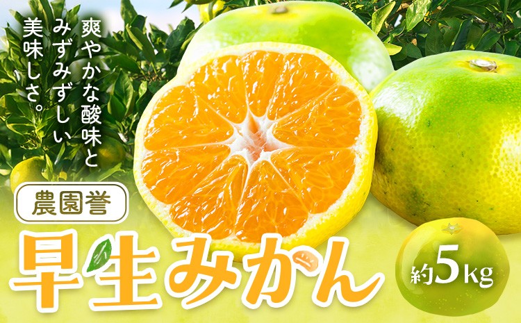 
                  早生みかん 約5kg 農園誉《10月上旬-11月下旬頃出荷》 和歌山県 日高川町 早生 みかん ミカン フルーツ 果物 柑橘
                