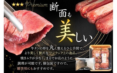 仙台名物 牛タン 厚切り牛タン 塩味  600g  (300g×2) 宮城県 名取市 肉 焼肉 牛肉 精肉 牛たん 牛タン塩 牛たん塩 冷凍 BBQ アウトドア バーベキュー 厚切り タン 600g