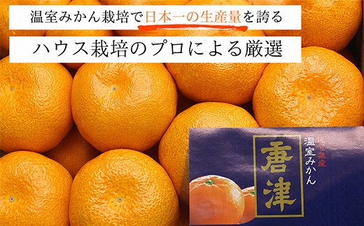 温室で丁寧に育てた「ハウスみかん」