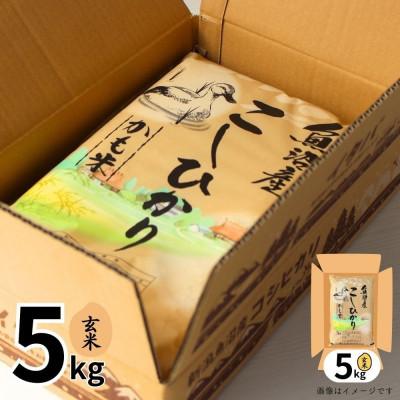 ふるさと納税 十日町市 【令和7年産】魚沼産コシヒカリかも米(玄米)5kg |  | 01