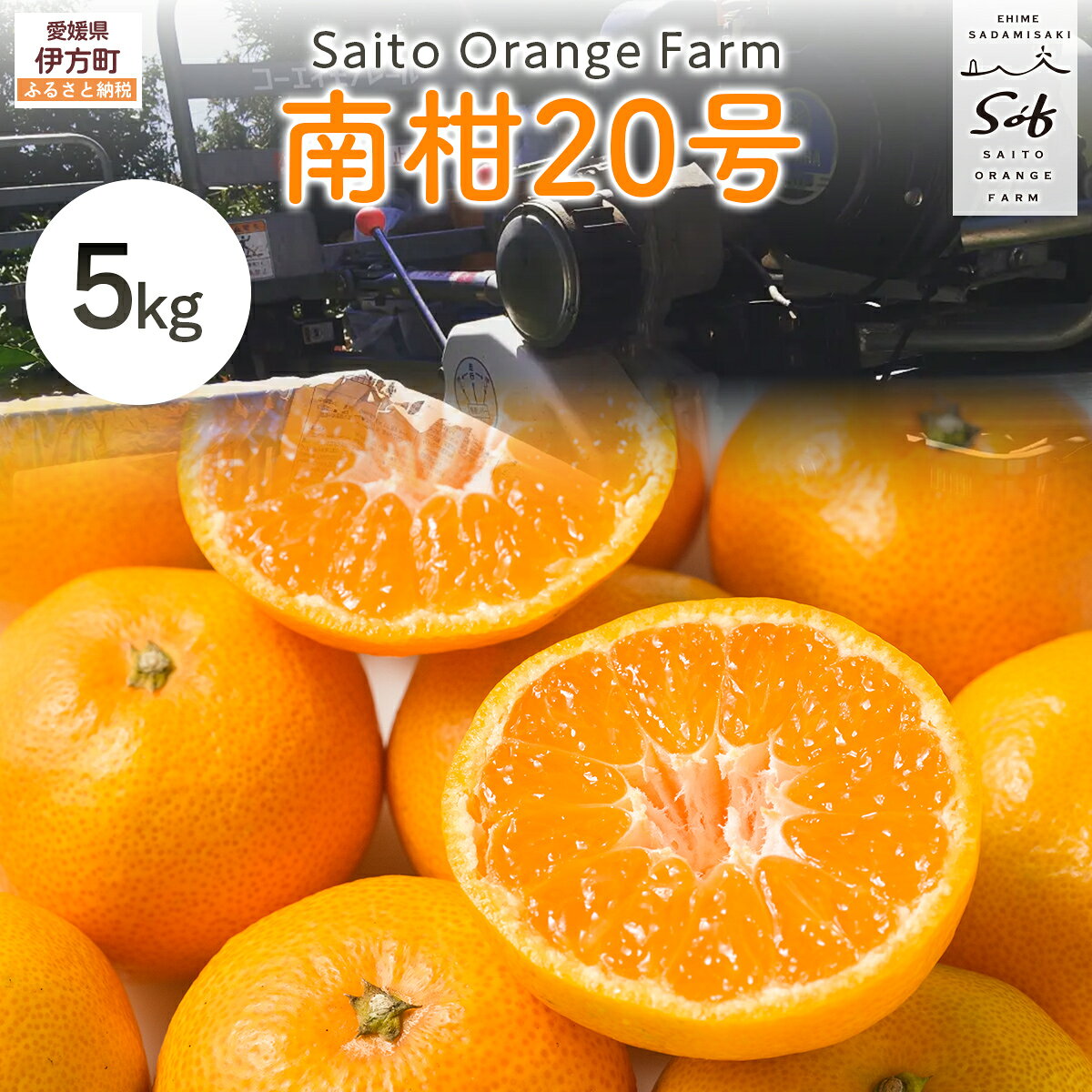 【ふるさと納税】【先行予約】Saito Orange Farmの南柑20号5kg （2025年12月中下旬頃より順次発送） 【 ふるさと納税 人気 おすすめ みかん 蜜柑 柑橘 南果20号 フルーツ 果物 産地直送 西宇和 Saito Orange Farm 愛媛県産 愛媛県 伊方町 送料無料 】 IKTAQ018