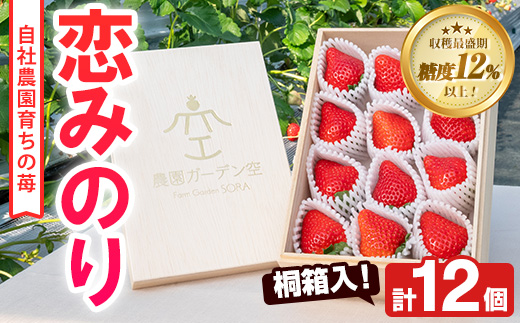 ＜2025年1月以降発送予定＞桐箱入！自社農園産いちご 恋みのり(計12個) 鹿児島 阿久根 自社農園 果物 フルーツ イチゴ いちご 苺 恋みのり 贈答用 ギフト 桐箱 デザート 期間限定【農園ガーデン空】a-24-50