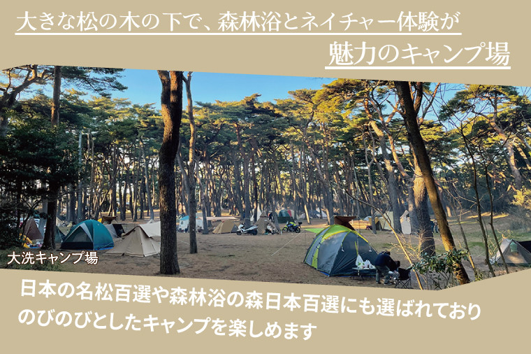 
                  大洗キャンプ場 1日 貸切プラン （4月～10月利用限定） 大洗 キャンプ アウトドア 旅行 イベント 研修 結婚式 ウェディング 貸切
                