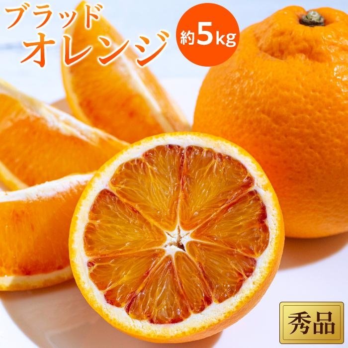 【ふるさと納税】 【先行予約】【2026年3月中旬から発送】 ブラッドオレンジ 秀品 約5kg | 愛媛 みかん 先行予約 蜜柑 柑橘 果物 くだもの フルーツ お取り寄せ グルメ 期間限定 数量限定 人気 おすすめ 愛媛県 松山市 ブラッド ブラッドオレンジ オレンジ オレンジ
