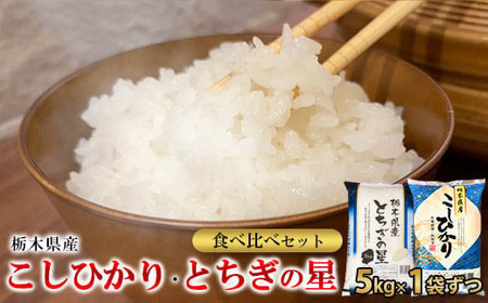 【令和6年産】栃木県こしひかり・とちぎの星食べ比べセット（精米・5kg×1袋ずつ）　※離島への配送不可