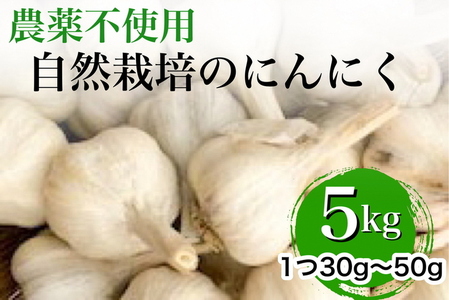 にんにく 5kg かたもとオーガニックファーム 野菜 京野菜 野菜 旬野菜 厳選野菜