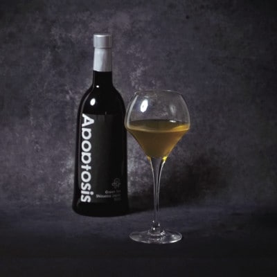 世界農業遺産に認められた茶葉を味わう最高級ボトリングティー | Apoptosis N【配送不可地域：離島・北海道・沖縄県・四国・九州】