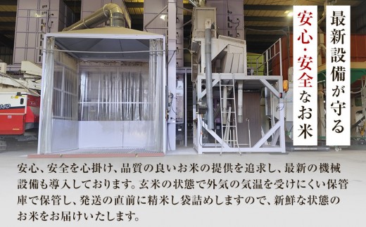 【先行予約受付】≪10月上旬発送≫令和８年産 大田原市 藤田farmのにじのきらめき 【無洗米】 10kg ｜栃木県産 米 お米  コメ にじのきらめき  栃木県 【選べる容量】5kg 10kg  数