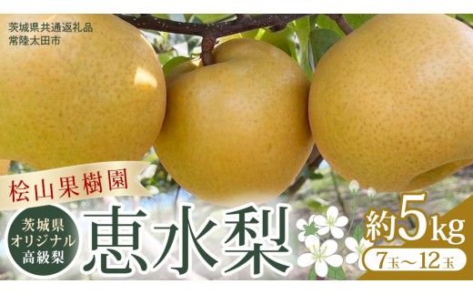 【2026年9月上旬発送開始】 茨城県 オリジナル 幻の 高級梨 『 恵水 』 約 5kg 7玉 ～ 12玉 【茨城県共通返礼品／常陸太田市】 桧山果樹園 [DU008sa]