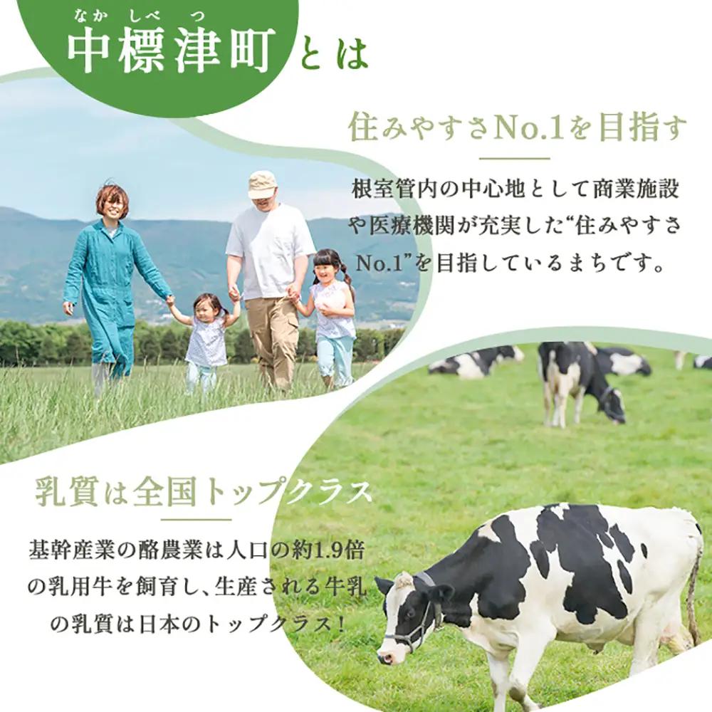 中標津町への応援寄附 3,000円(返礼品なし)【10003】