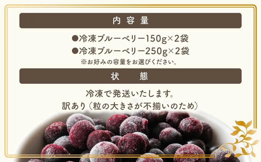 訳あり 冷凍ブルーベリー 500g 福島県 田村市 いずみの森ブルーベリー園