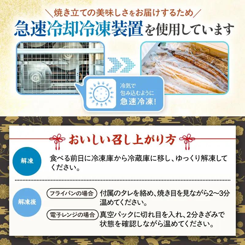  1043-2 昭和56年創業 うなぎの川豊 うなぎ蒲焼5尾 KN049-001-05 魚 冷凍 鰻