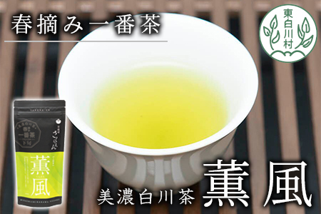 白川茶 茶蔵園 上煎茶 「薫風-くんぷう-」 煎茶 お茶 緑茶 日本茶 茶葉 3000円