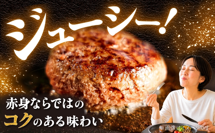 ハンバーグ あかうし あか牛 たっぷり 赤牛 肉 大賞 100% にく niku ブランド 旨み 熊本県 菊陽町