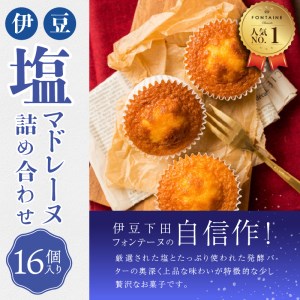 伊豆塩マドレーヌ詰合せ（16個入）[お菓子 焼き菓子]