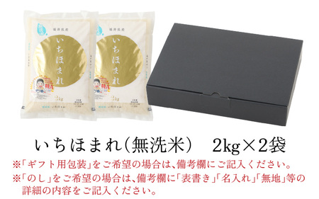 【福井のブランド米】【令和7年産】【特A獲得】いちほまれ 無洗米 2kg × 2袋