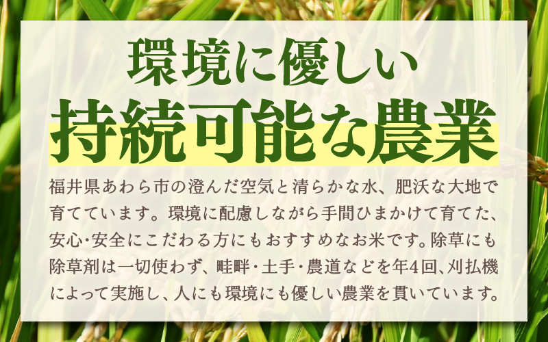 定期便 ≪3ヶ月連続お届け≫ 令和7年産 あきさかり 無洗米 10kg×3回（計30kg） ／ 米 10キロ 福井県産 ブランド米 あきさかり ご飯 白米 新鮮 高品質米 [aw121-d003]