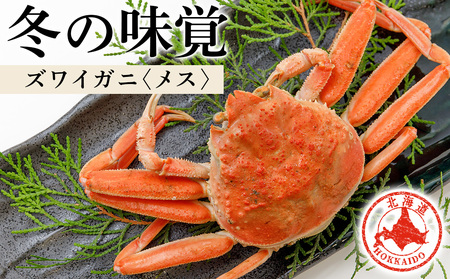 北海道産 生大ズワイガニ メス 1kg （加熱用） ずわいがに 蟹 〈斉藤水産〉AM091