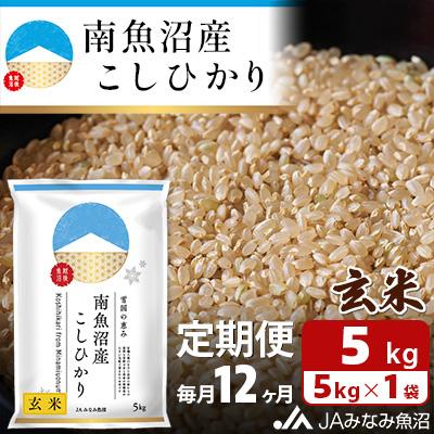 ふるさと納税 南魚沼市 【毎月定期便】南魚沼産こしひかり 玄米 5kg全12回