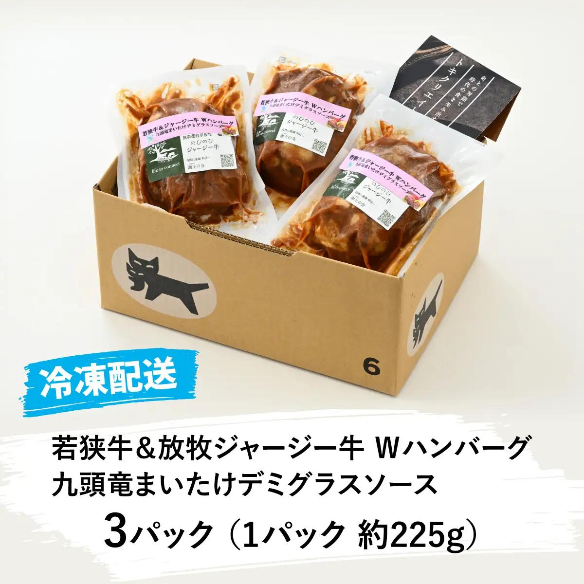 ハンバーグ 若狭牛＆ジャージー牛 225g×3パック [A-054005]