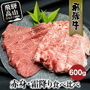 【ふるさと納税】飛騨牛 赤身・霜降り食べ比べ 600g すき焼き 国産牛 和牛 黒毛和牛 ロース のし 熨斗 飛騨高山 飛騨牛のこもり FC015VP