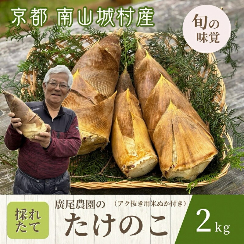 【ふるさと納税】【先行予約 京都 旬の味覚】廣尾農家の朝堀りたけのこ 2kg　京都南山城村産 筍 野菜 タケノコ 京野菜 新鮮 旬 季節限定　お届け：2026年4月～2026年5月末