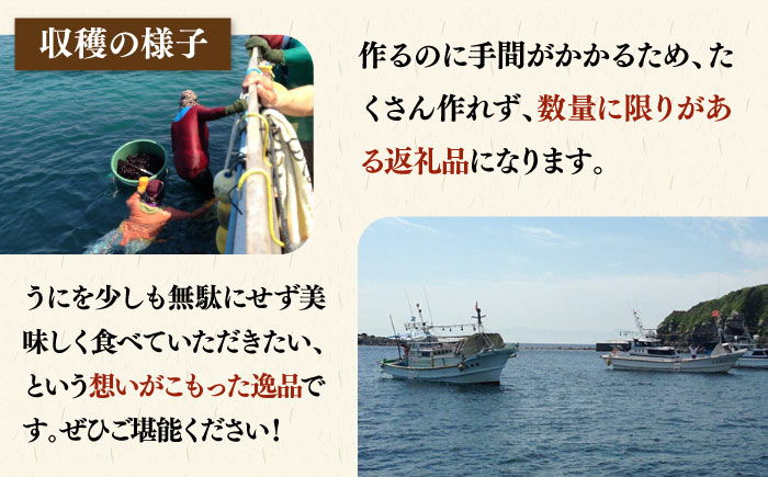 【数量限定】 うにみそ 50g×2本 《壱岐市》【鈴の海庭】 うに ウニ 雲丹 うに味噌 ウニ味噌 海産物 紫うに 紫ウニ 珍味 おつまみ ご飯のお供 がぜみそ [JFV003]