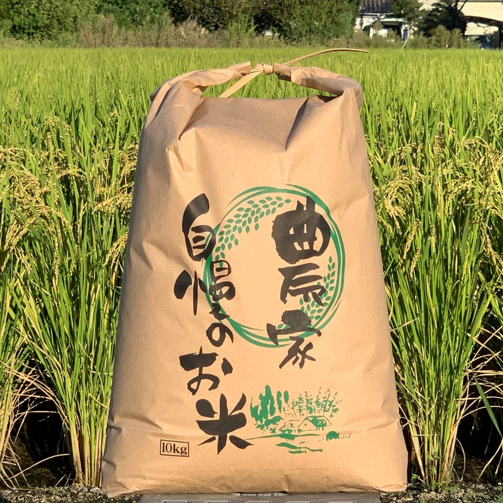 【ふるさと納税】玄米 令和7年産 新米 即納 ≪選べる≫ 10～15kg 玄米 単一原料米 れんげ ハツシモ 岐阜美濃の誇り れんげ育ちのハツシモ 米 新米 ごはん 白米 精米 お米 大黒屋 岐阜県 大垣市