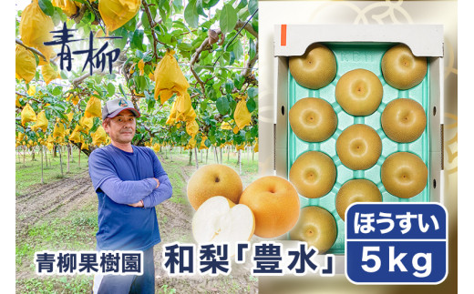 【2026年先行予約】青柳果樹園の和梨 豊水 5kg(10〜14玉)《9月上旬～順次出荷》 果物 ほうすい フルーツギフト 加茂市 青柳果樹園