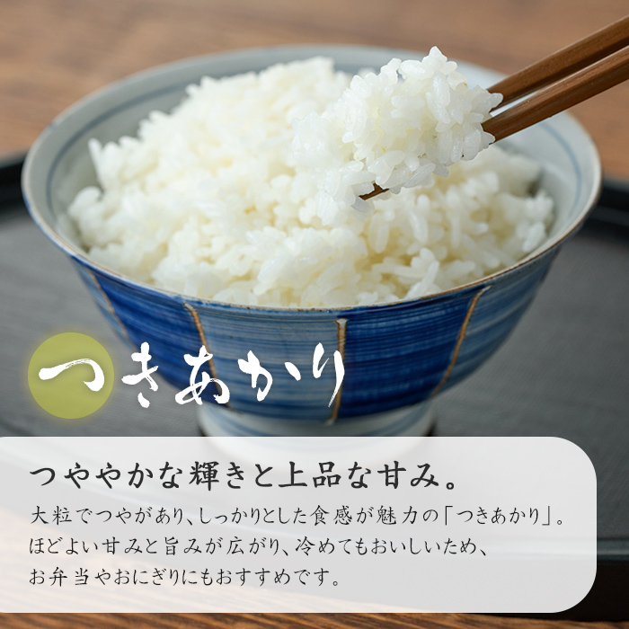 【令和8年産 新米】つきあかり 玄米 30kg 柴田町産 お米 おこめ 米 コメ ご飯 ごはん おにぎり お弁当 【農事組合法人桜花爛漫】sh126