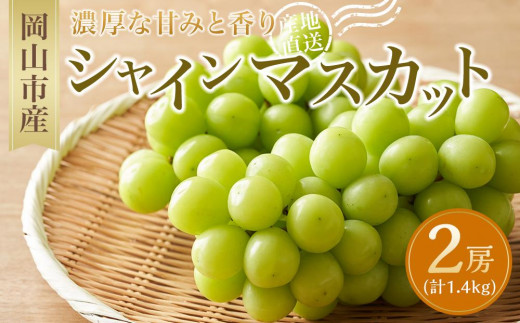 ぶどう 2026年  シャイン マスカット 2房（1房約700g） マスカット ブドウ 葡萄  岡山市産  国産 フルーツ 果物 ギフト
