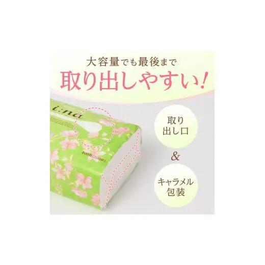 エリエール ｉ：ｎａ（イーナ）ティシュー ソフトパック 200組6パック×10（60パック）