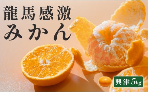 【高知県 大月町産】コーラルフルーツ農場 龍馬感激みかん(興津)　5kg