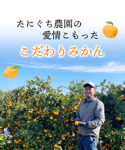 訳あり 家庭用 不揃い 早生 温州 みかん 蜜柑 柑橘 フルーツ 果物 / 訳あり品 ご家庭用 たにぐち農園の早生温州みかん(マルチ栽培) 5kg【2023年11月下旬～12月中旬に順次発送】【mtn