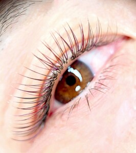 マツエク LEDデザインキープラッシュ 120束 1回券 リピーター続出 まつ毛エクステ マツエク施術 美容 メイク サロン アイメイク 目元 ボリューム リフトアップ 時短 カウンセリング 大阪府 