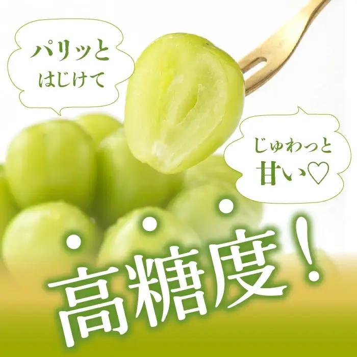 【2026年発送★先行予約】厳選！山梨県笛吹市産 シャインマスカット 約2.0kg（3～4房） 156-001-26y