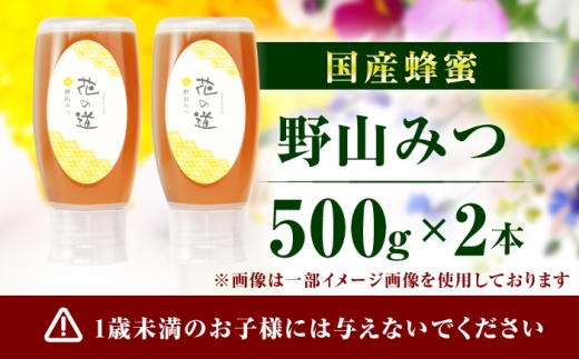 野山みつ 2本（500g×2）　広川町 / 株式会社九州蜂の子本舗 [AFAI047]