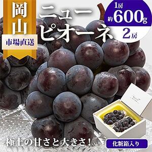 【2025年発送】岡山県産　ニューピオーネ2房　(1房600g以上)　化粧箱入り【配送不可地域：離島・北海道・沖縄県】【1281359】