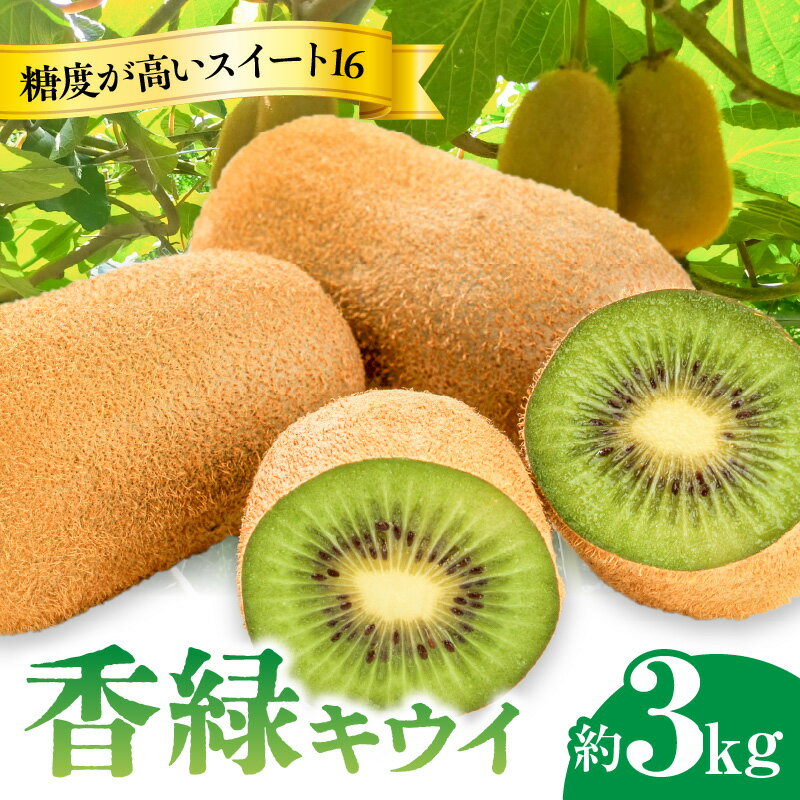 【ふるさと納税】 キウイ フルーツ デザート 国産 濃緑色 さぬき讃フルーツ 香緑 スイート16 約3kg エメラルドグリーン 糖度 甘い 果肉 お土産 ギフト 果物 果実 香川県 三豊市 お取り寄せ 送料無料 讃岐 さぬき 10000 10,000円 台 お取り寄せギフト ご当地 五色青果